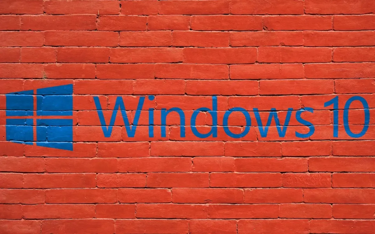 Laptop z systemem operacyjnym Windows czy bez?